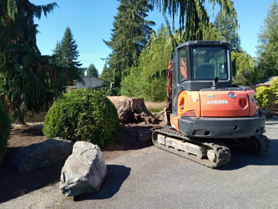 Compact excavator beside a large stump and boulder