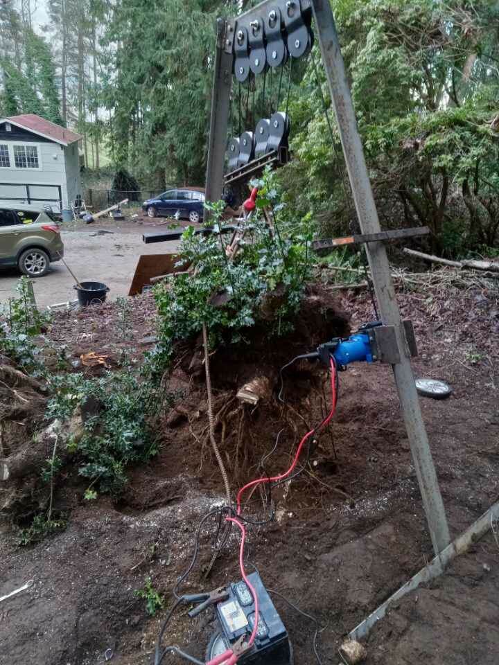 Custom steel-frame pulley system pulling a rooted shrub from the ground