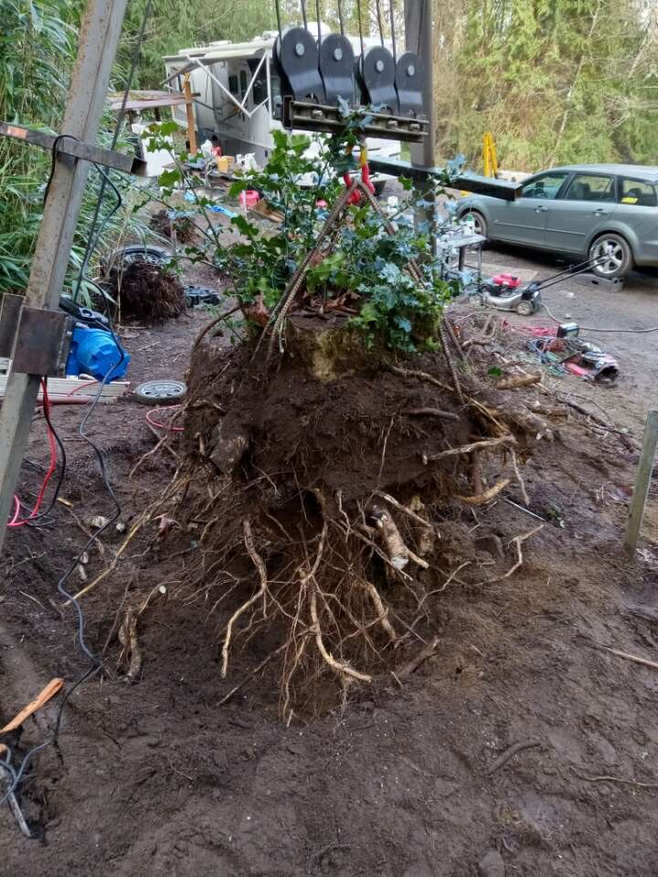 Custom steel-frame stump puller lifting a large root ball from the ground
