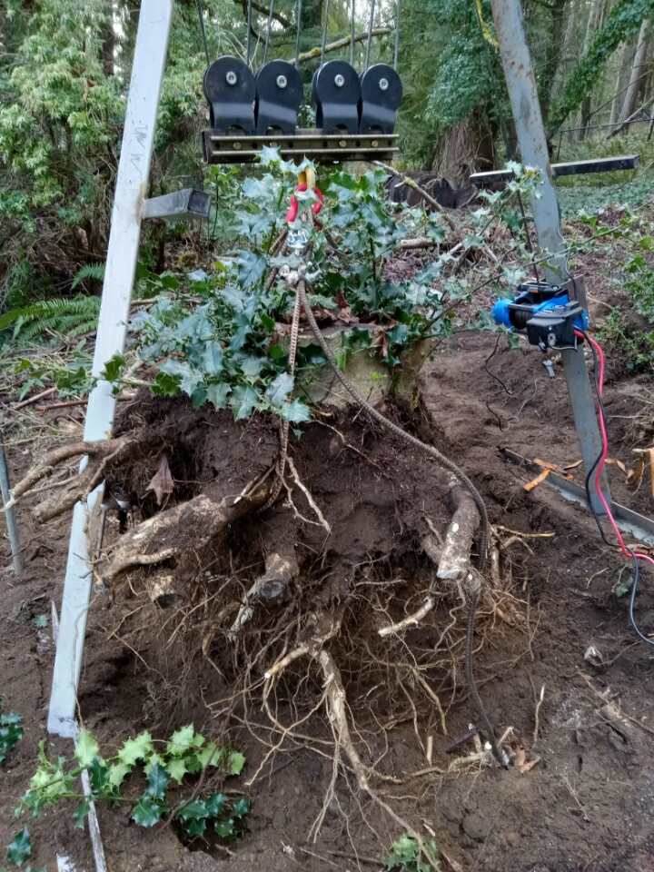 Large stump root system exposed while being lifted